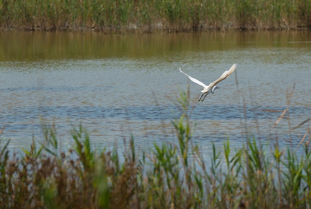 Valgrande Bibione Casone Villa Eksteriør bilde