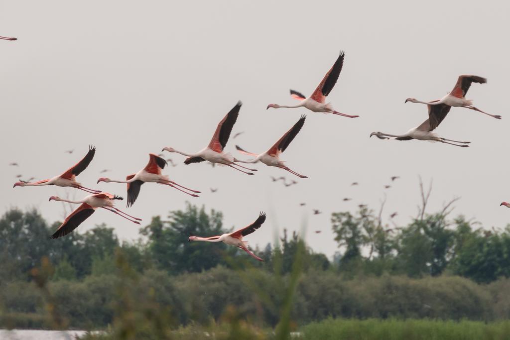 Valgrande Bibione Casone Villa Eksteriør bilde