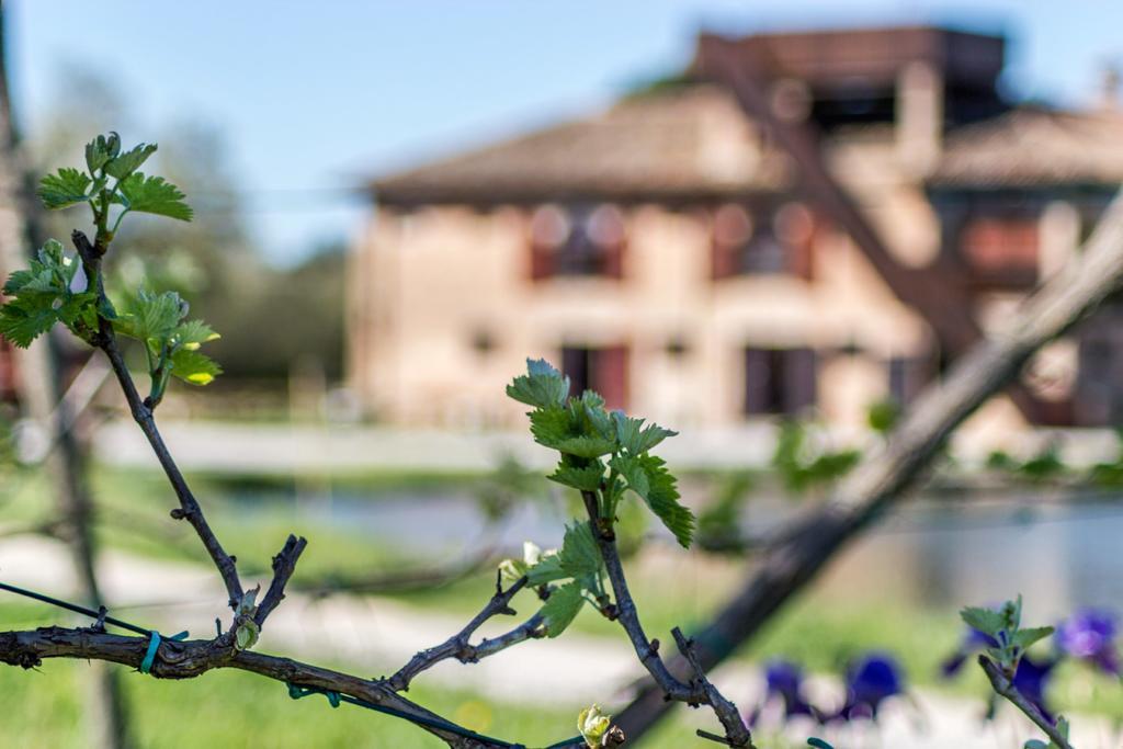 Valgrande Bibione Casone Villa Eksteriør bilde